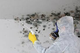 Mold Remediation for Rental Properties in Mason, TX